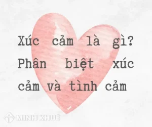 Yêu theo cảm xúc là gì